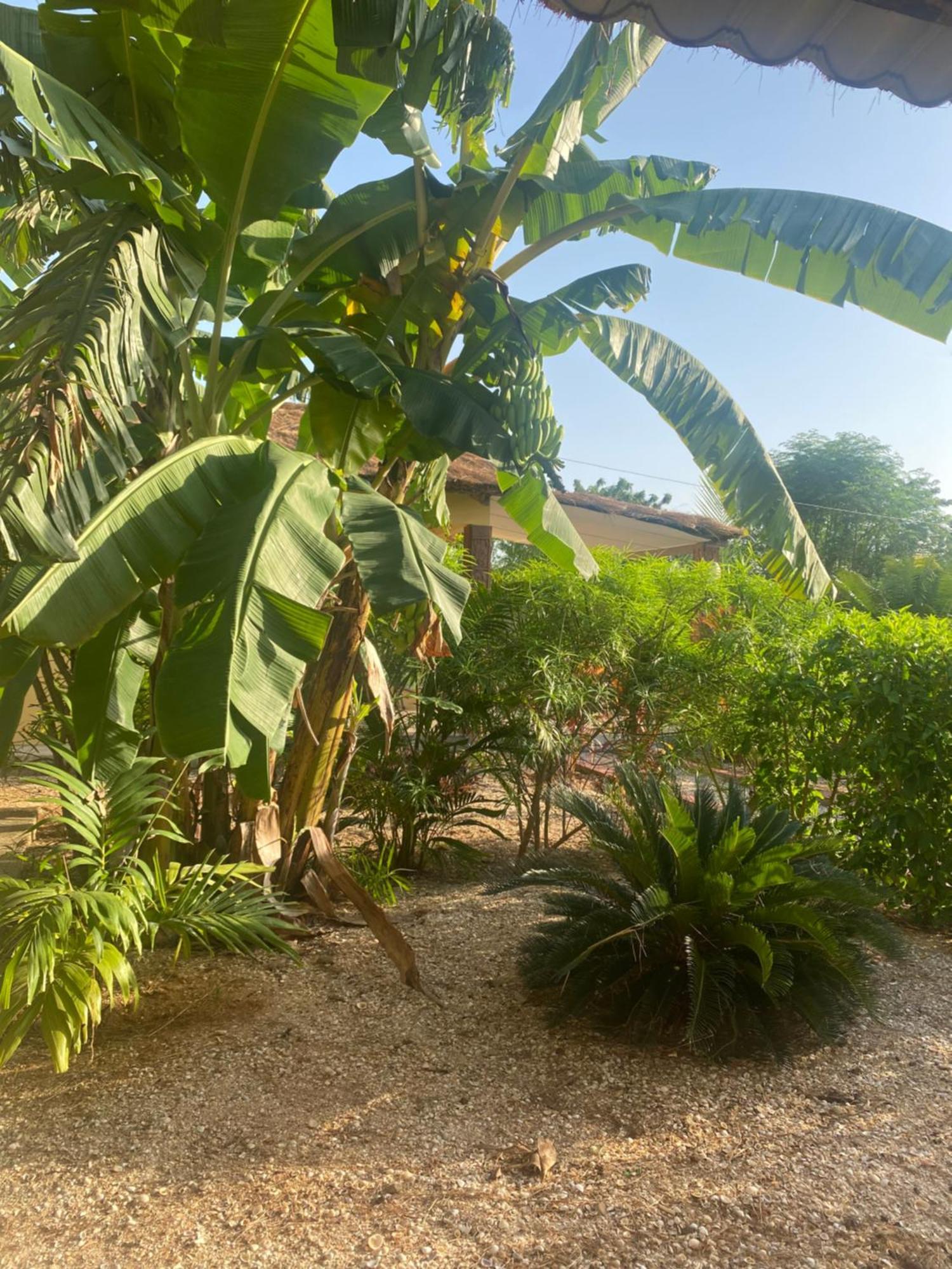 Villa Nemocotier แค็ปสเกอร์ริง ภายนอก รูปภาพ